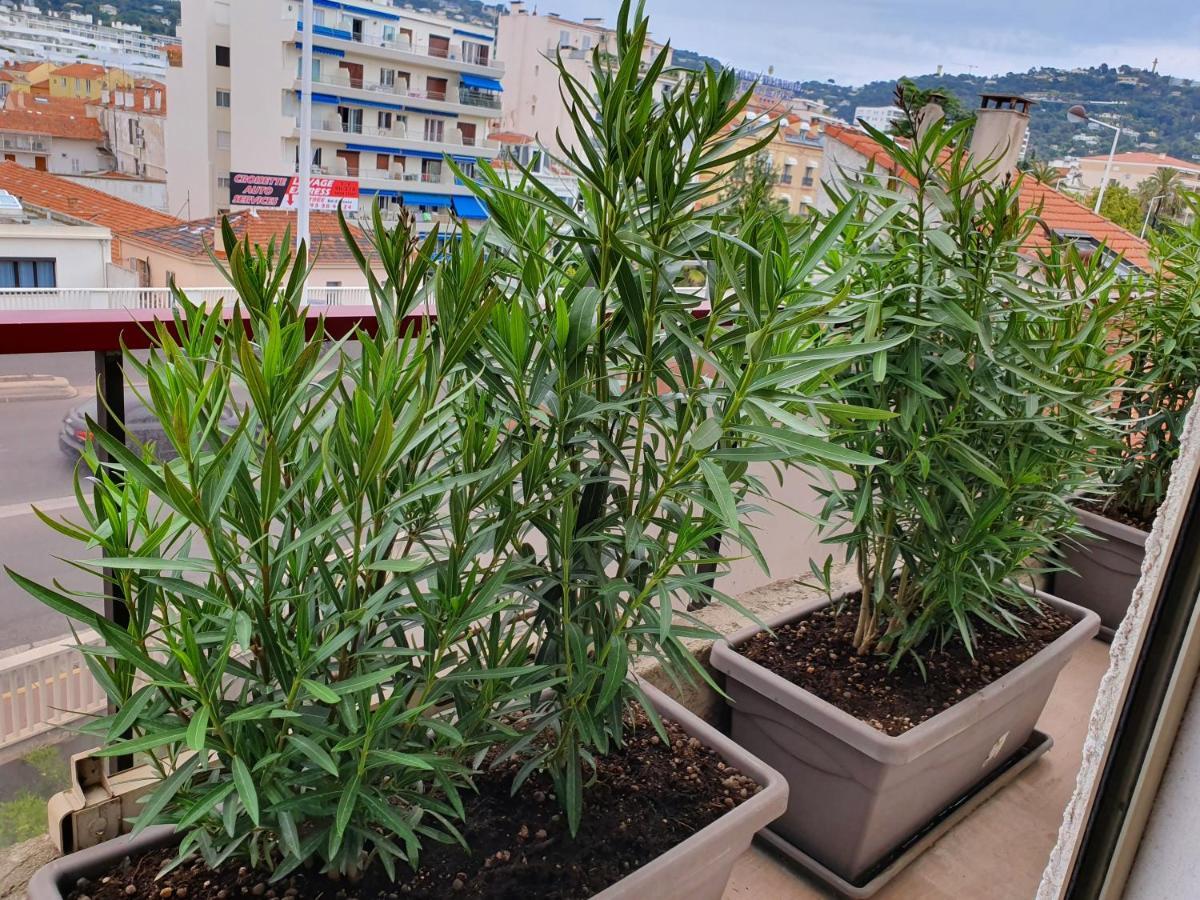 Hotel Brimer Кан Екстериор снимка